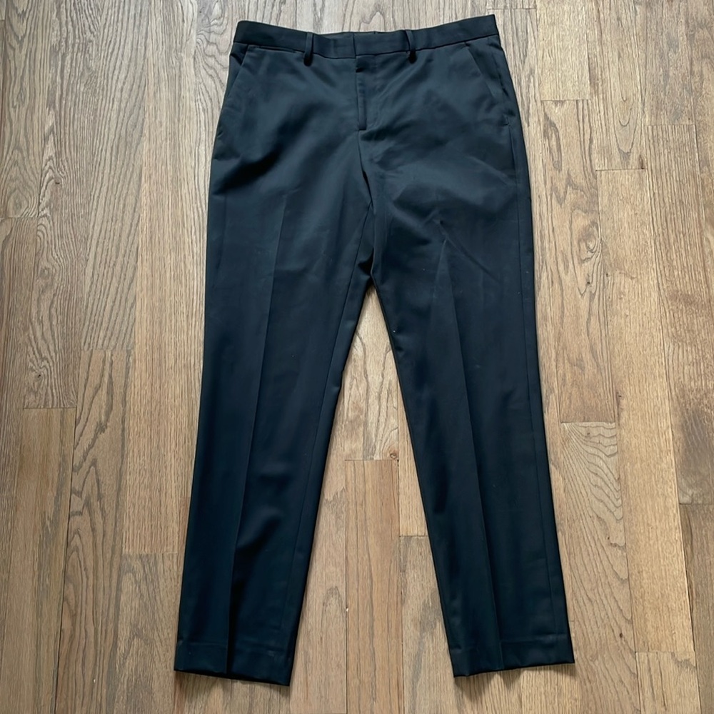 Express Dress Pants